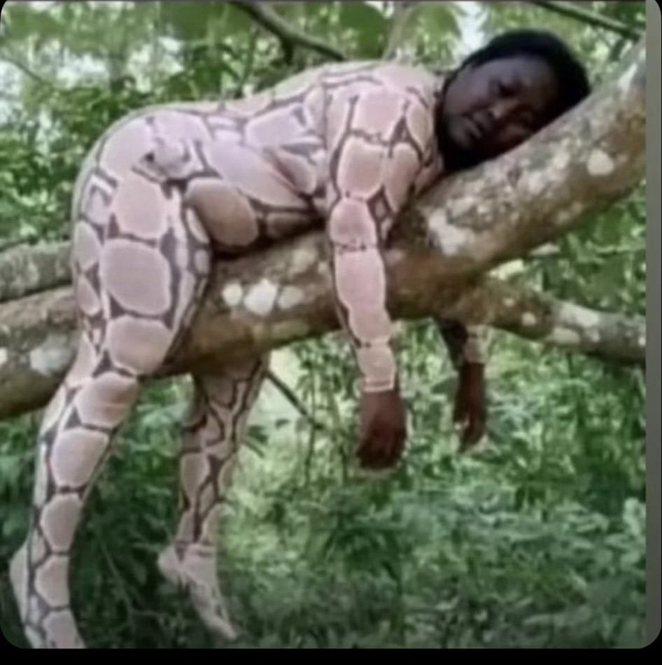 papasito (@scott_villa) on Twitter photo 