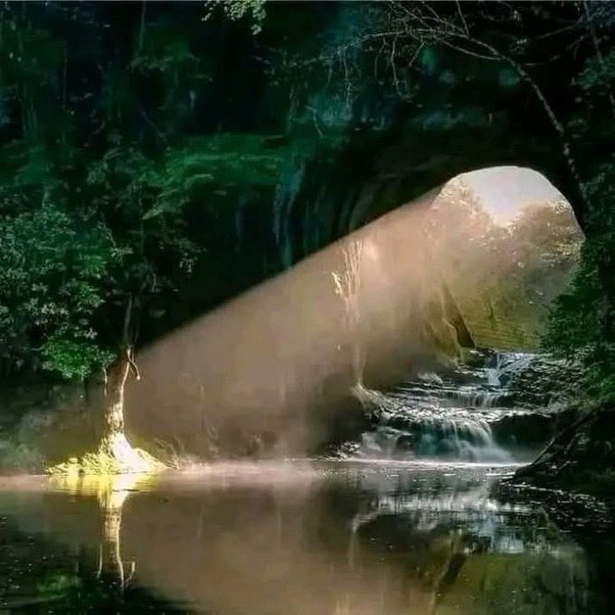 NobelRK's tweet image. At the end of darkness, there is light.