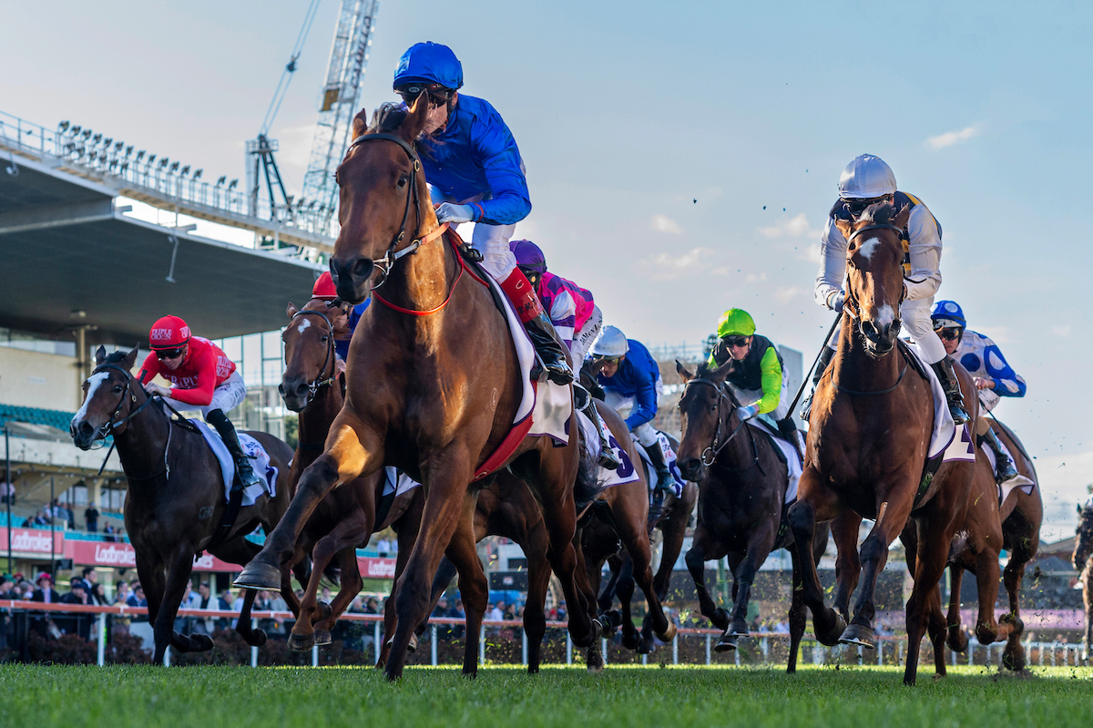 TTR AusNZ tweet media