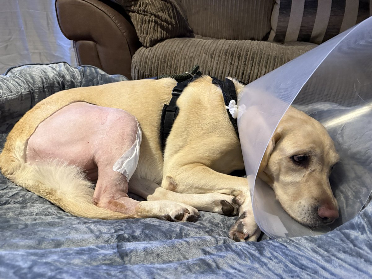 KeithTheGooner tweet media