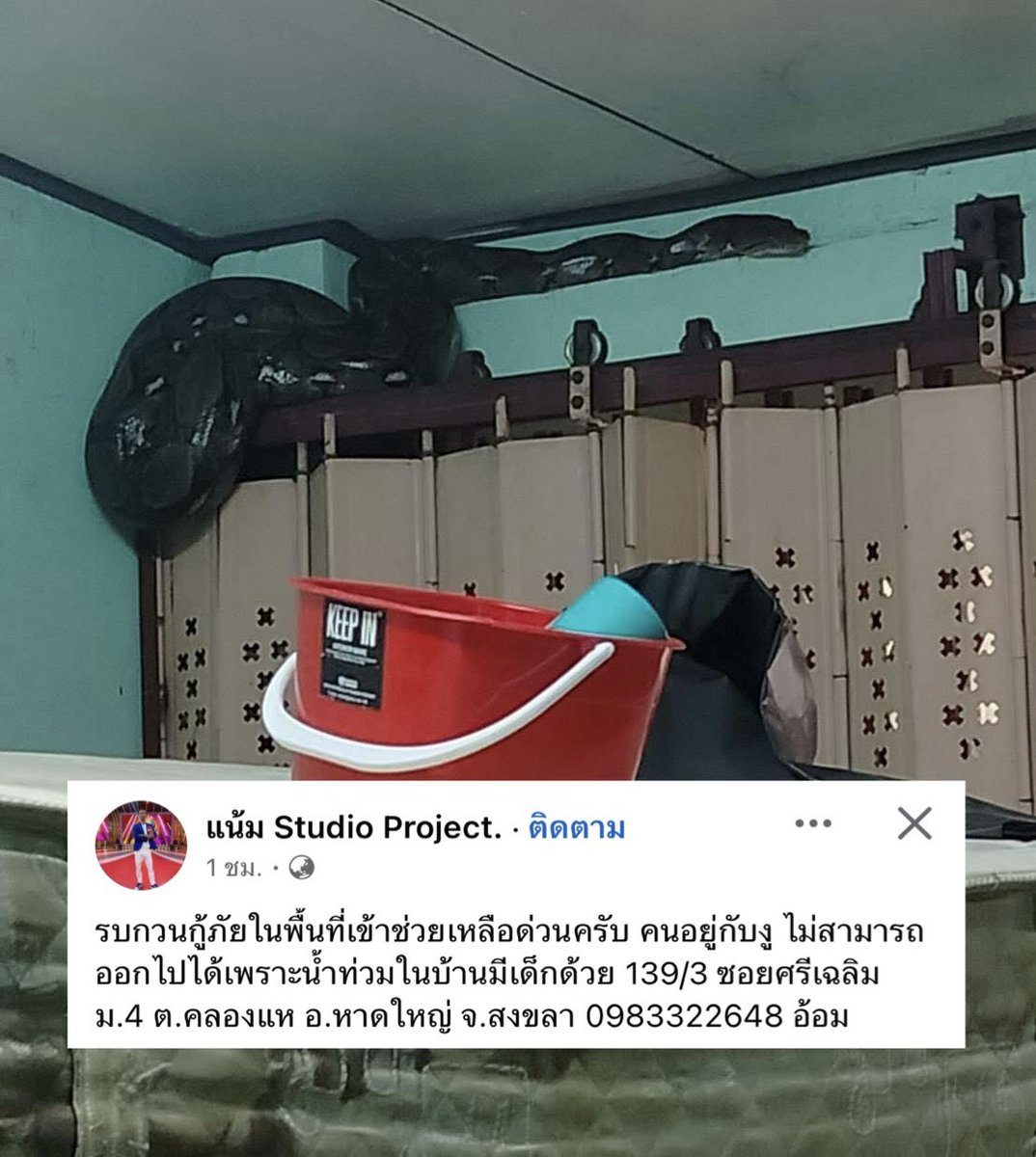 Skyboyz15's tweet image. 🆘 ต้องการความช่วยเหลือ ด่วน!! 🆘
รบกวนกู้ภัยในพื้นที่เข้าช่วยเหลือด่วนครับ 
คนอยู่กับงู ไม่สามารถออกไปได้
เพราะน้ำท่วมในบ้าน มีเด็กด้วย 😳🥺
#น้ําท่วม #น้ําท่วมหาดใหญ่
