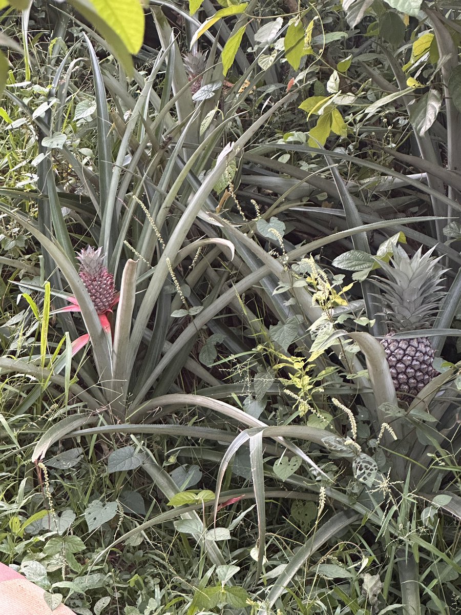 aspireshutters5's tweet image. 