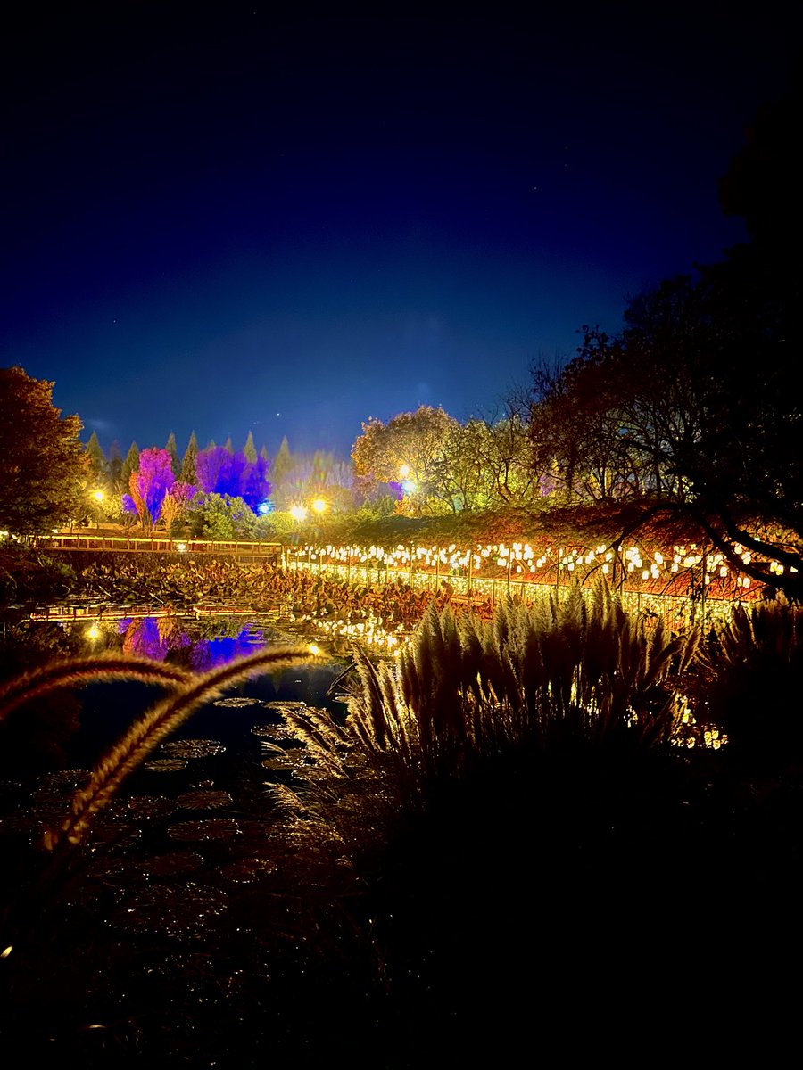 シェリー (@PSdceZuWHh6SPjj) / Posts / X