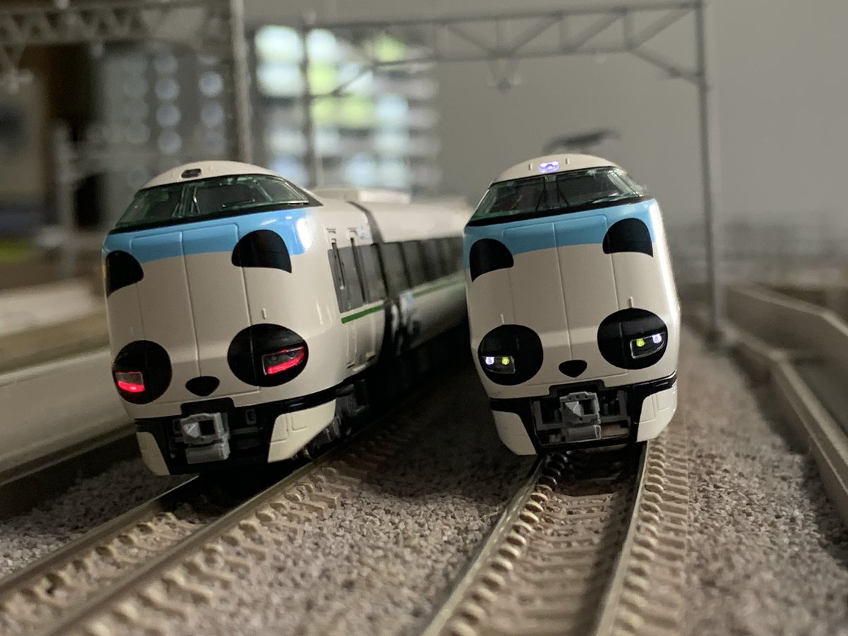 大阪】本日ご来店のお客様① パンダくろしおです！！！ #Re_Color