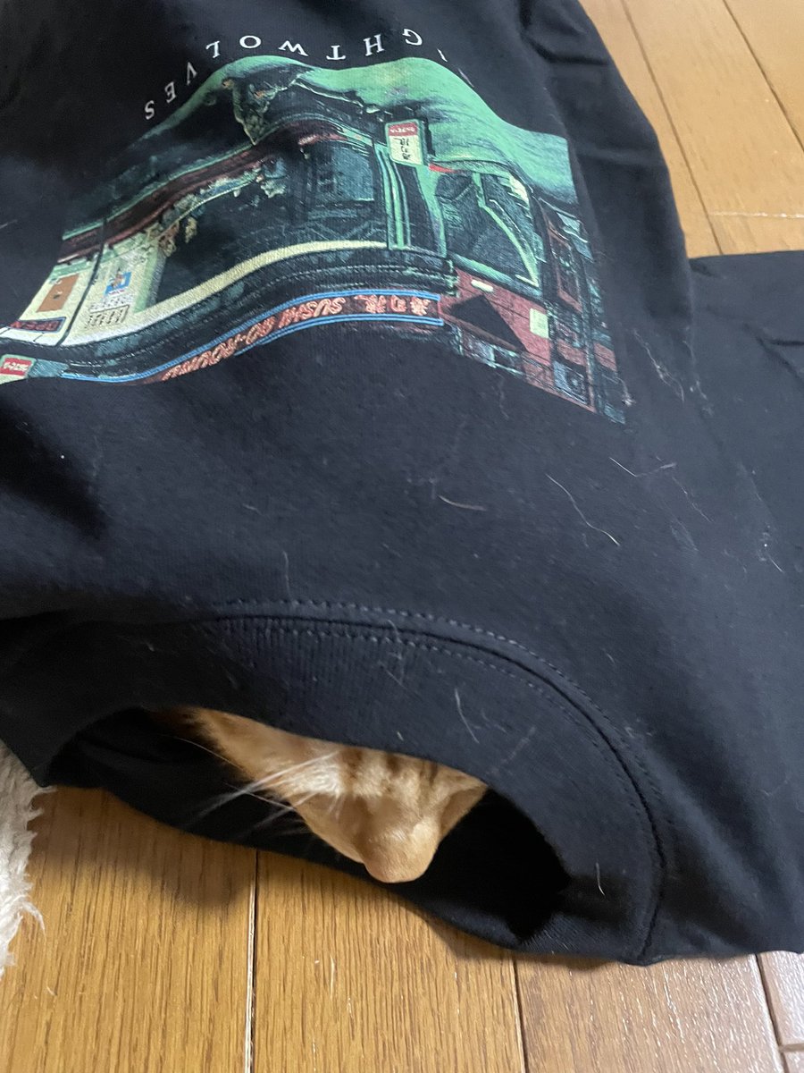 gawgaw2022's tweet image. MAN WITH A MISSION🐺✨
ロンT届いたー😄🙌
猫さんが試着中🐺✨
ガゥガゥ🐺
#MANWITHAMISSION