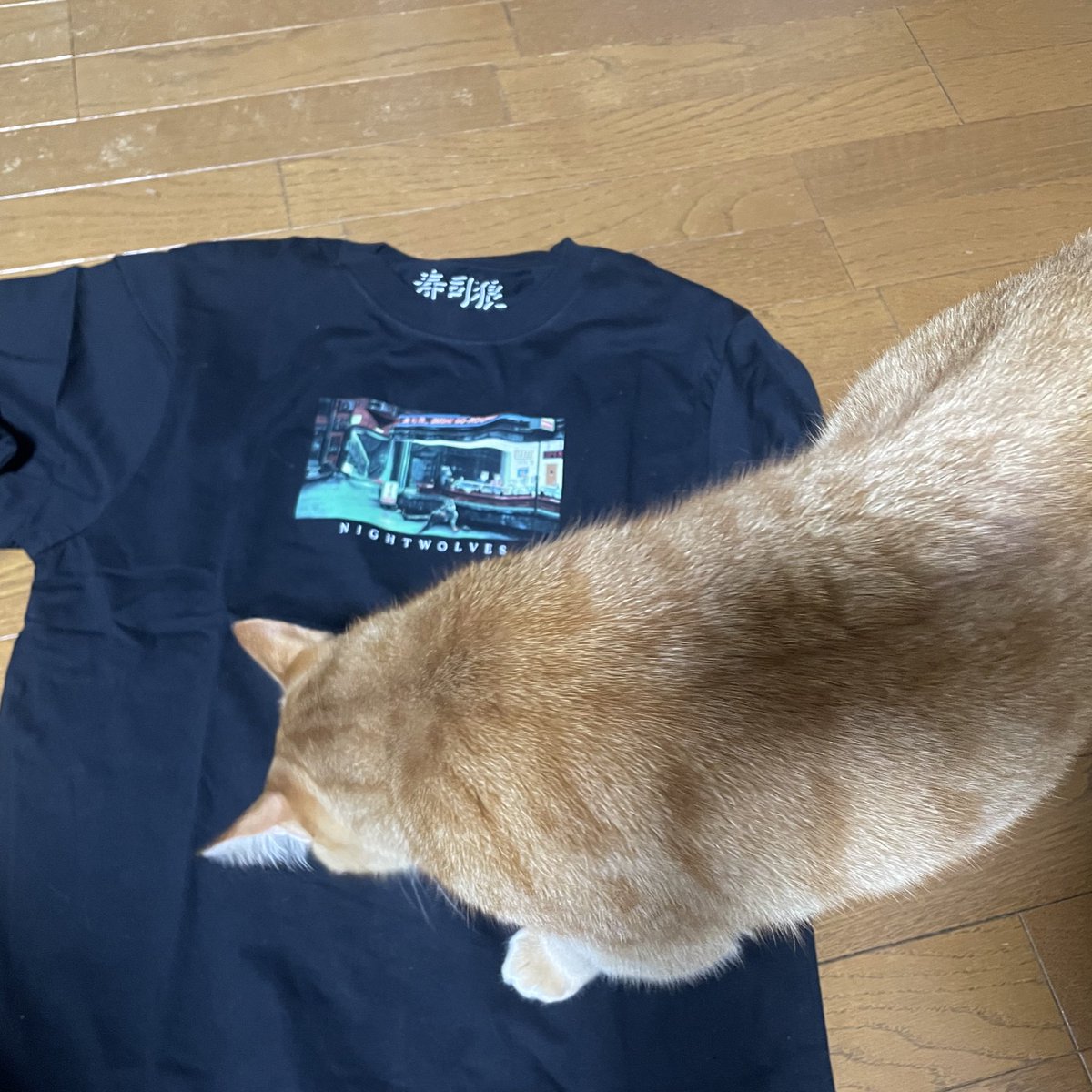 gawgaw2022's tweet image. MAN WITH A MISSION🐺✨
ロンT届いたー😄🙌
猫さんが試着中🐺✨
ガゥガゥ🐺
#MANWITHAMISSION