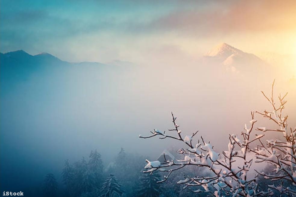 Truthvibeswrite's tweet image. can i praise thee
#achievable it&apos;s not
in a calm rejoice
sans voice
in infinite ways
The cosmos quills
moonbeamed verses
sunblessed rays
welcomed by depth
of
morning mist
Twilight glory stays
That winter
the wind blows
love snowdrops
sorrow goes

#vss365
#FoxProse
#fairytalepoets