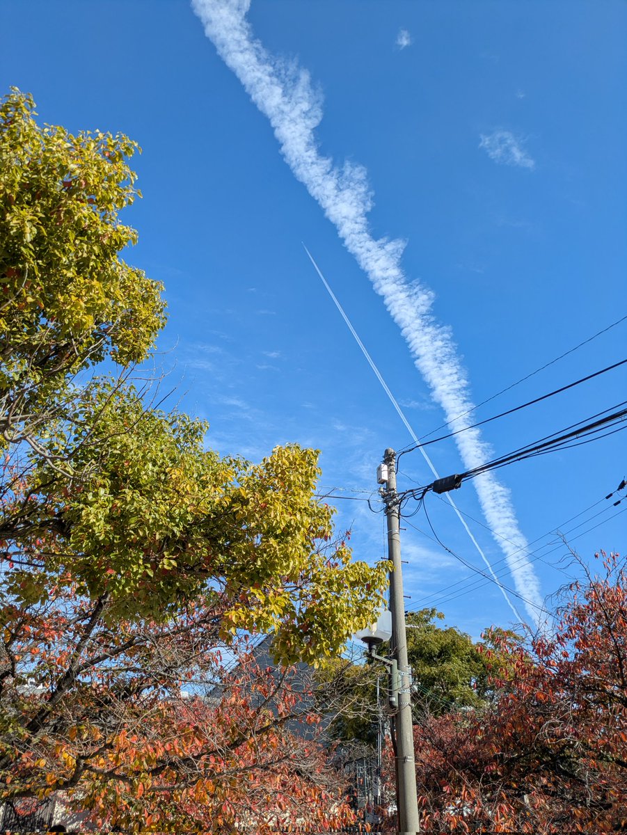 シンプソンズのピンバッジがいっぱい売ってたし、
おやつはドーナツ🍩パーティーやったけど、フォトナしてない人達だから…🤣
#ガフィぬいさんぽ (かばんの中)