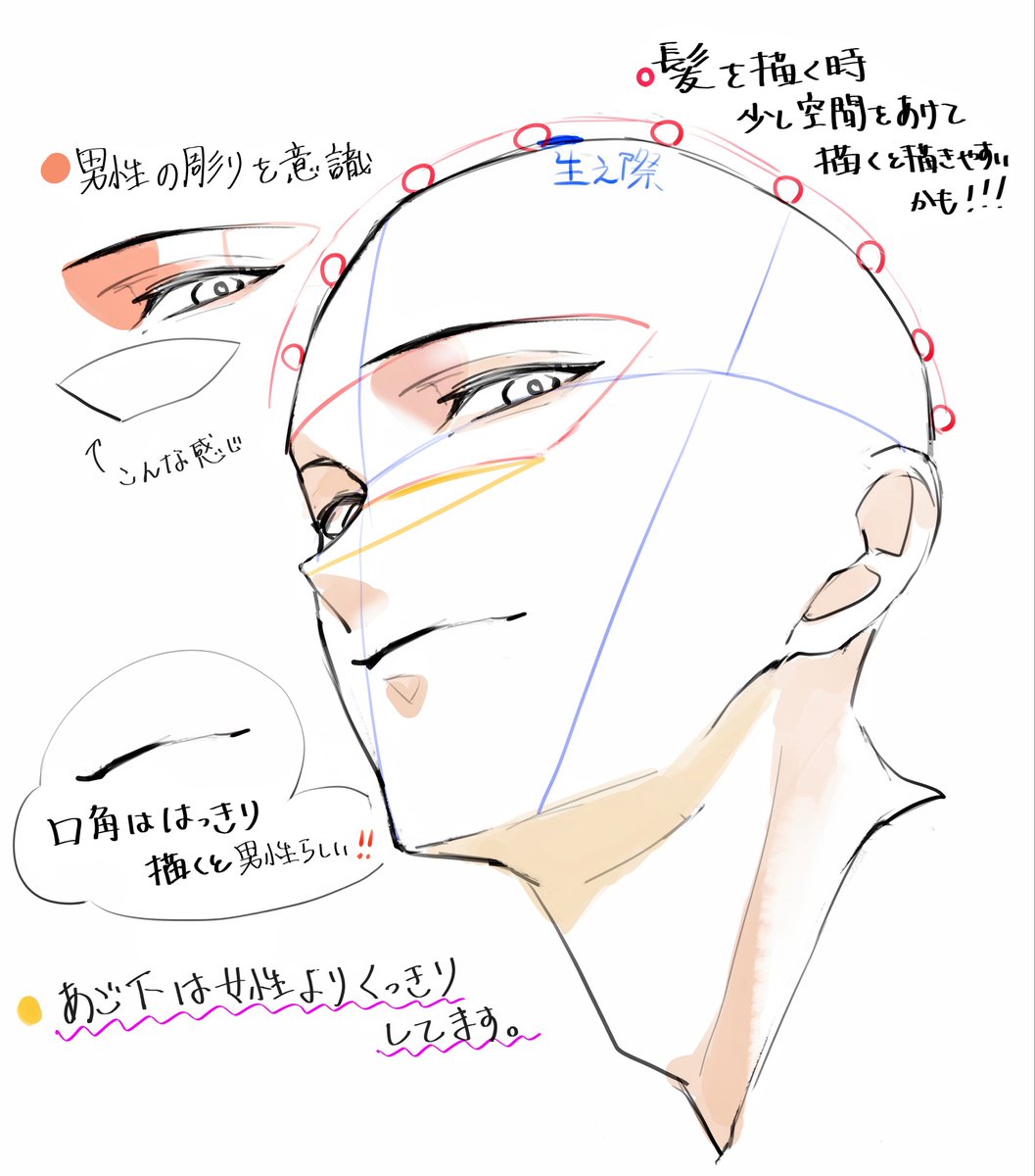男性のアオリについて自分の中のイメージです

髪の毛のノッペリは頭の側面との間に少し空間を意識すると描きやすいかも....！