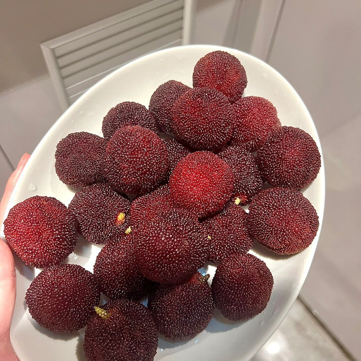 DaineSuzanne's tweet image. Life is full of sweet surprises, like a fresh fruits🍒🍓

#SweetSurprises #PineappleLove #TropicalVibes