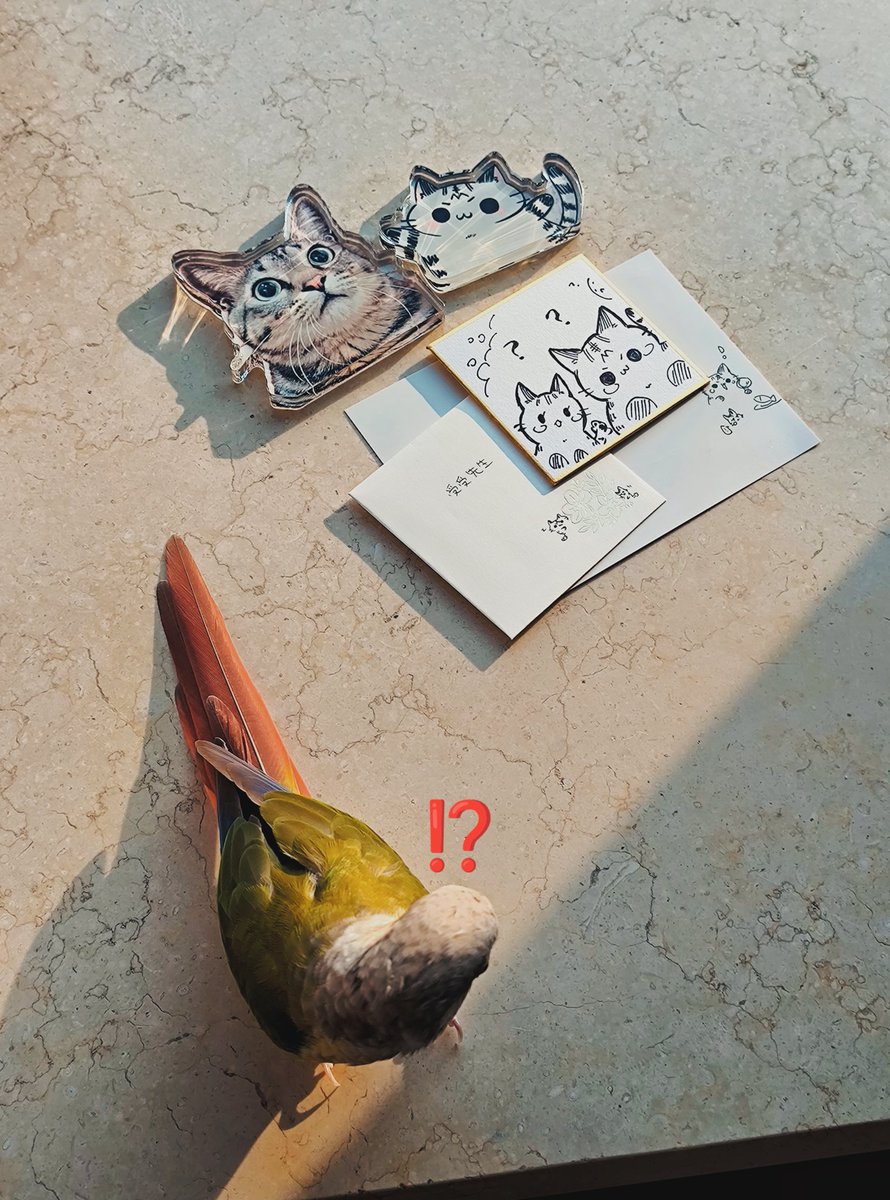 请看~！まめをさん（<a href="/krnk_nu12/">まめを◆八重垣う6</a>）送来超可爱的礼物和色纸😭❤️🐱🐱❤️！？他们好大好可爱噢…好想保护他们带他们去各种地方🥹🫶🫶……！！（真的超抱歉之前那条的艾特账号打错了😭🤚💦请容许我重新发送一下！！）