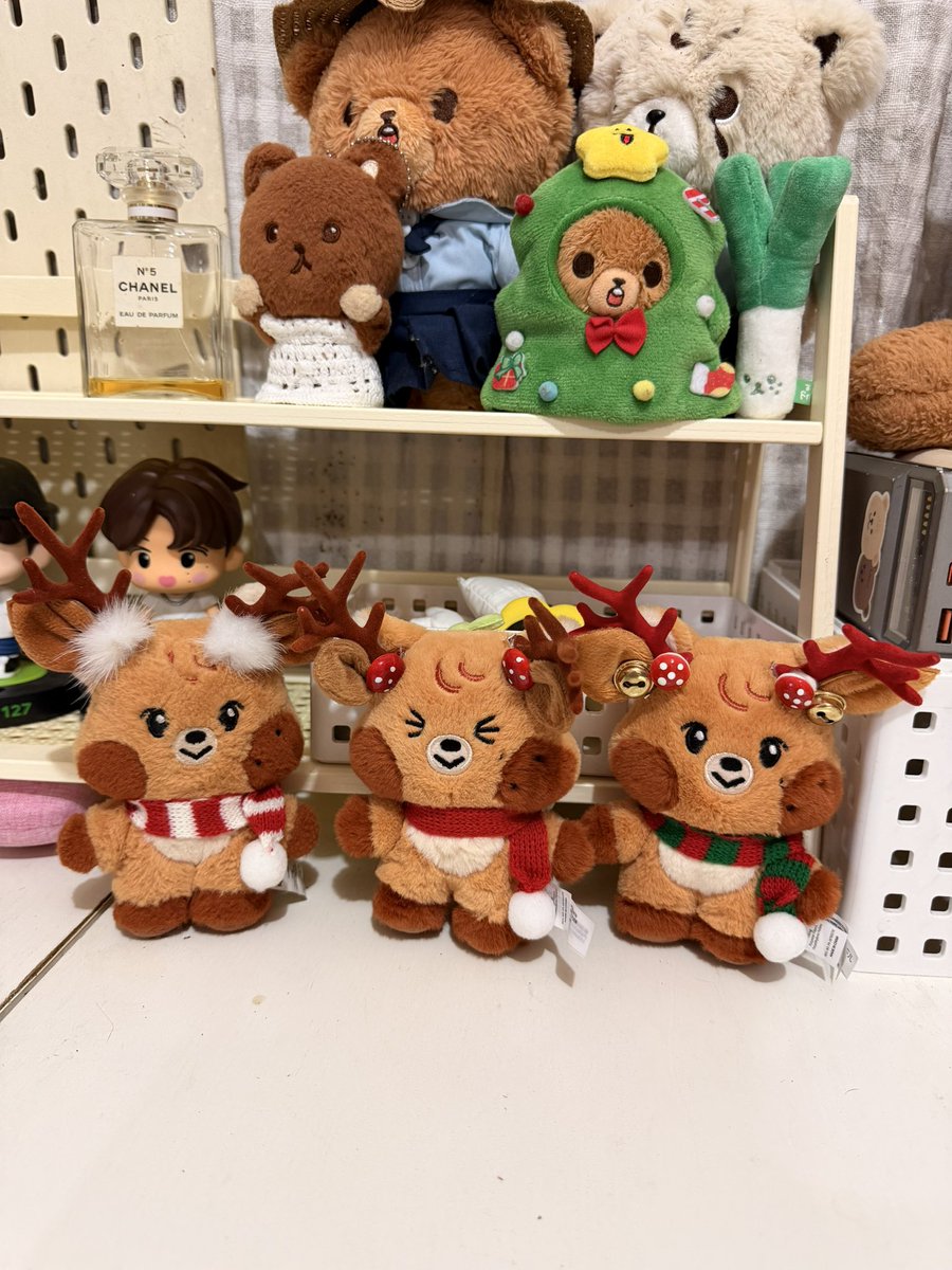 Dearlunacy_lee's tweet image. ลูกช้านเปนกวางทุกตุว 🎄🎅🏻🎉✨
