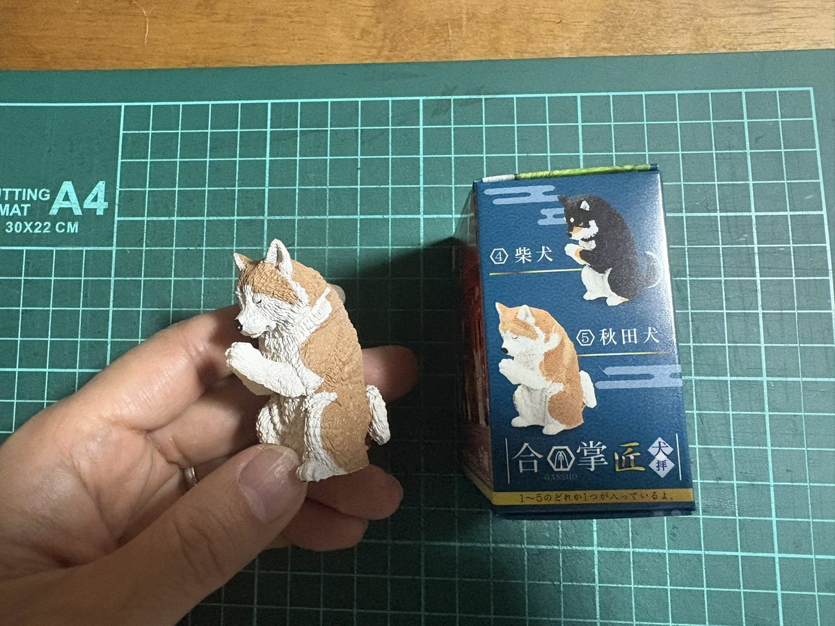 versionA20XX's tweet image. 秋田犬をウチの子に変身させてる

#シベリアンハスキー
#POSCA