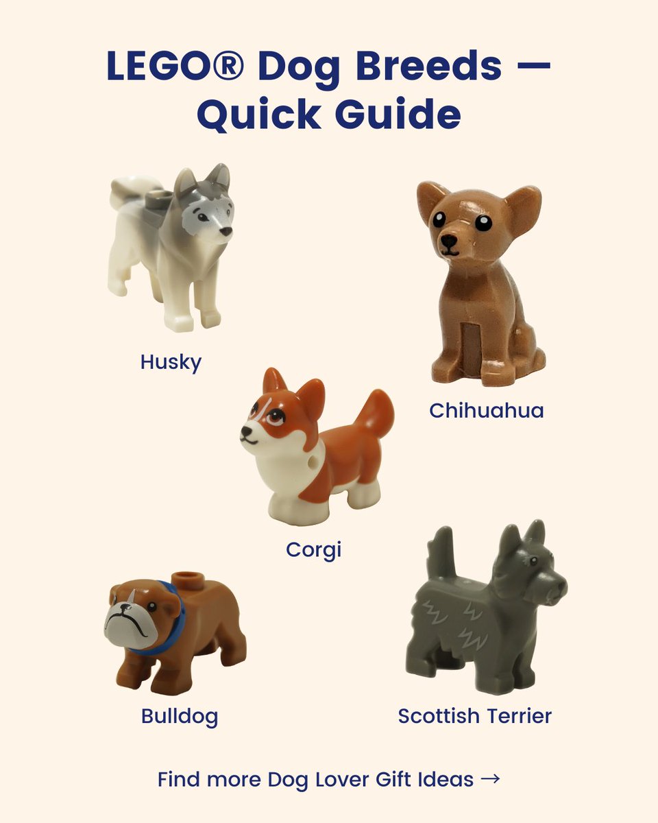 urbitrend's tweet image. 🐶 Love LEGO® animals? Here’s your quick guide to LEGO dog breeds — Huskies, Corgis, Bulldogs &amp;amp; more!
👉 choose-a-brick.com/en-global/coll…