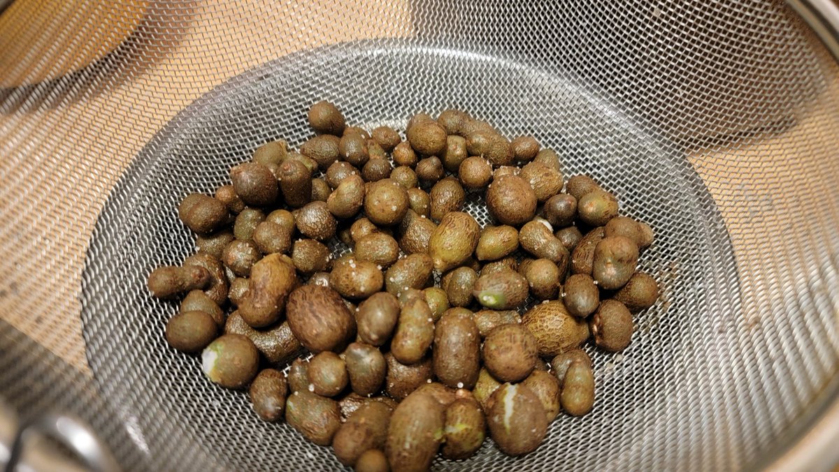 人生初のむかご。
多分好きなはずと言われてもらってきましたが、これは確かにハマる😋