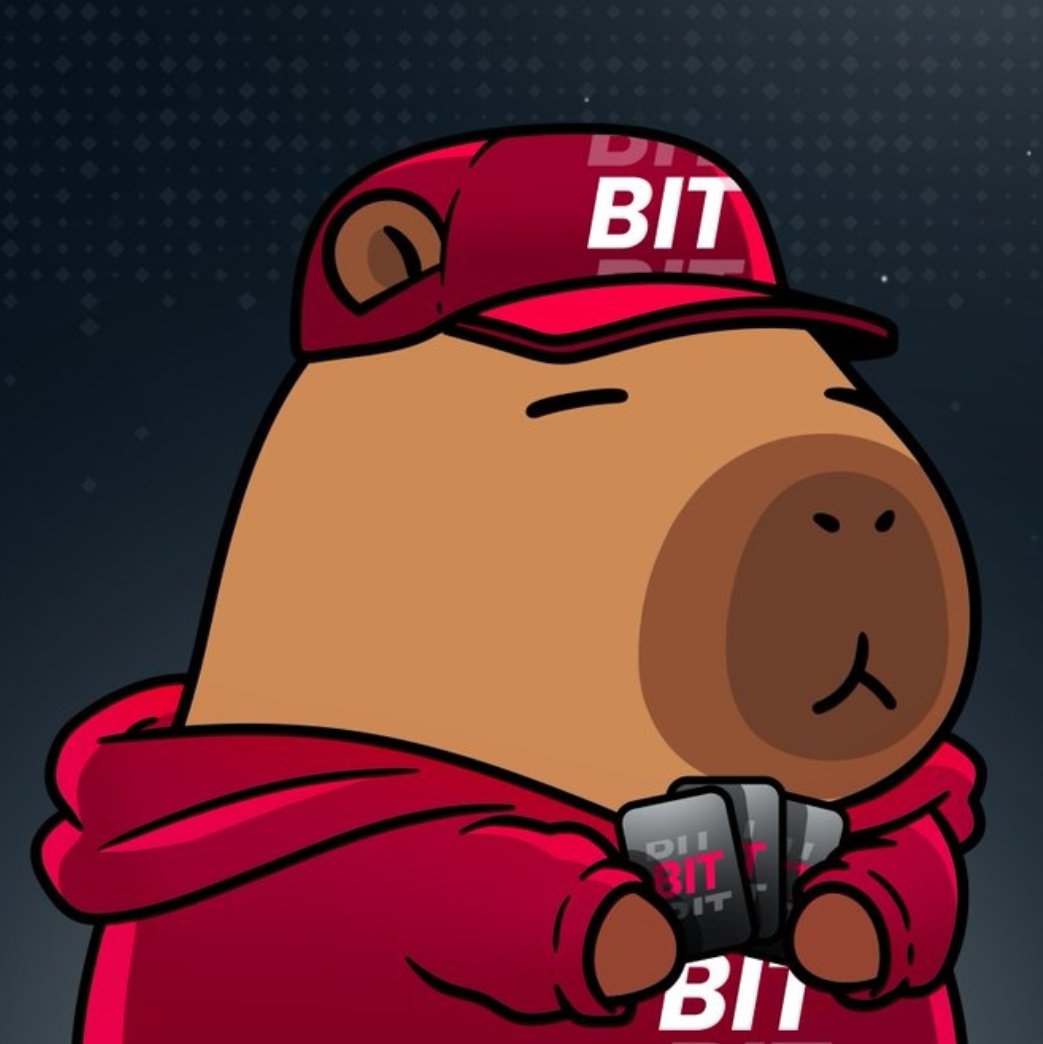 Dolanofweb3's tweet image. &amp;gt;&amp;gt;&amp;gt; @bitdealernet isn’t trying to attract crowds looking for fast flips it’s built for people who want an ecosystem that grows through real usage.

Every bet placed and every game session adds to on-chain value, strengthening the demand cycle behind $BIT.
With millions of players…