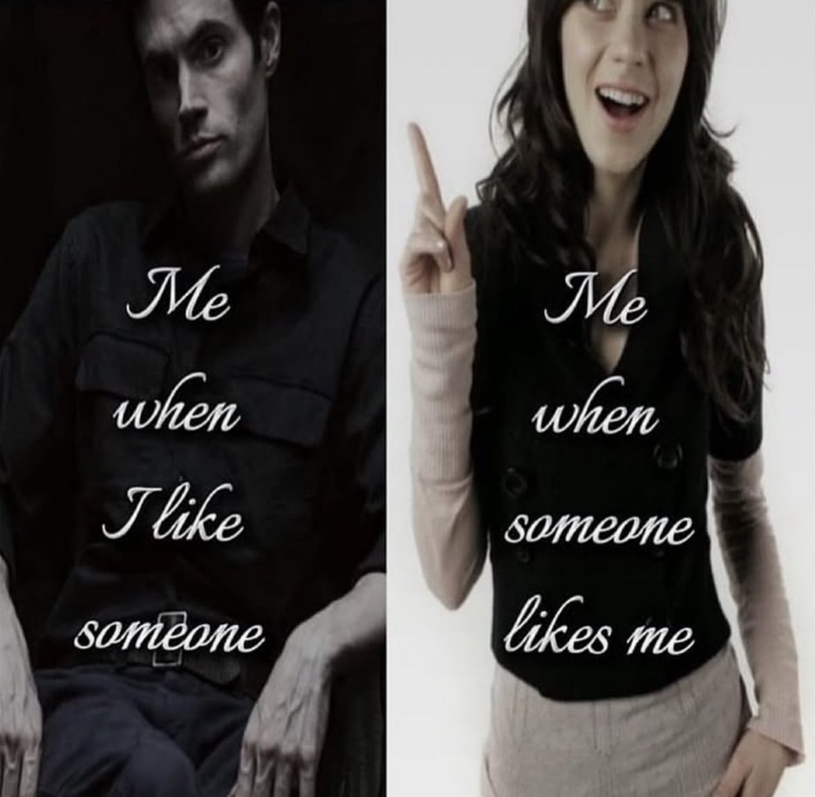 northstardoll's tweet image. 