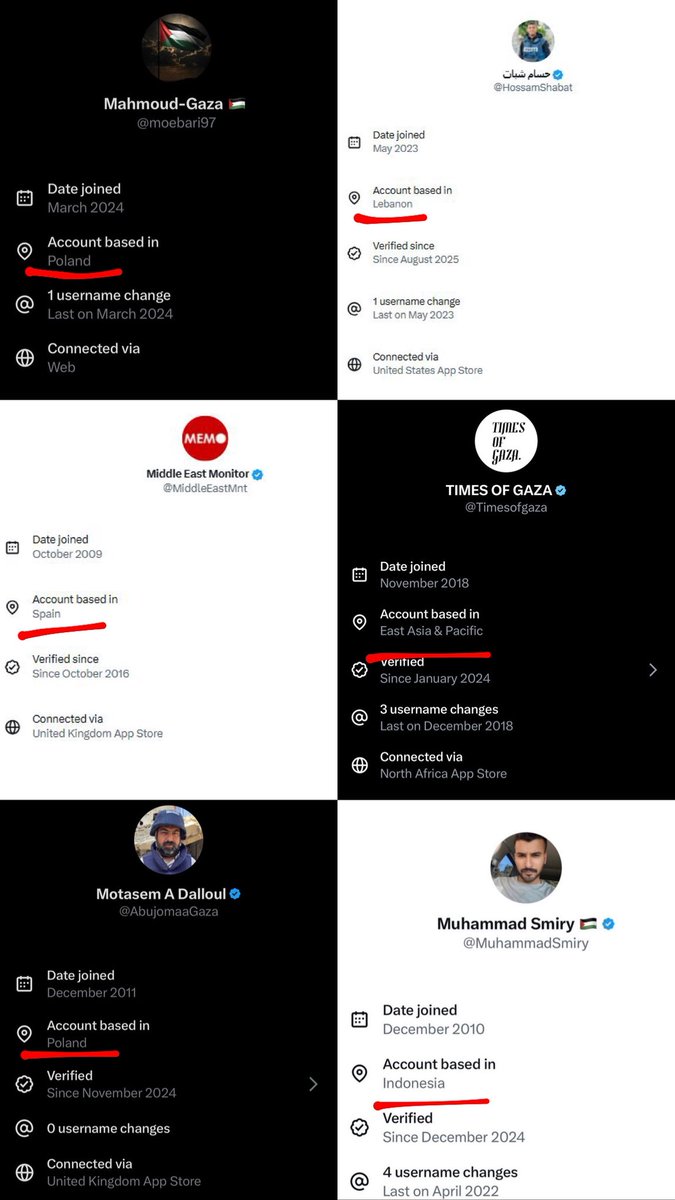 HenMazzig's tweet image. I get that some Palestinians are actually in Gaza and might have siblings abroad, or maybe they use a VPN.

But that’s a lot of siblings. And a lot of VPNs too, don’t you think? 🤔