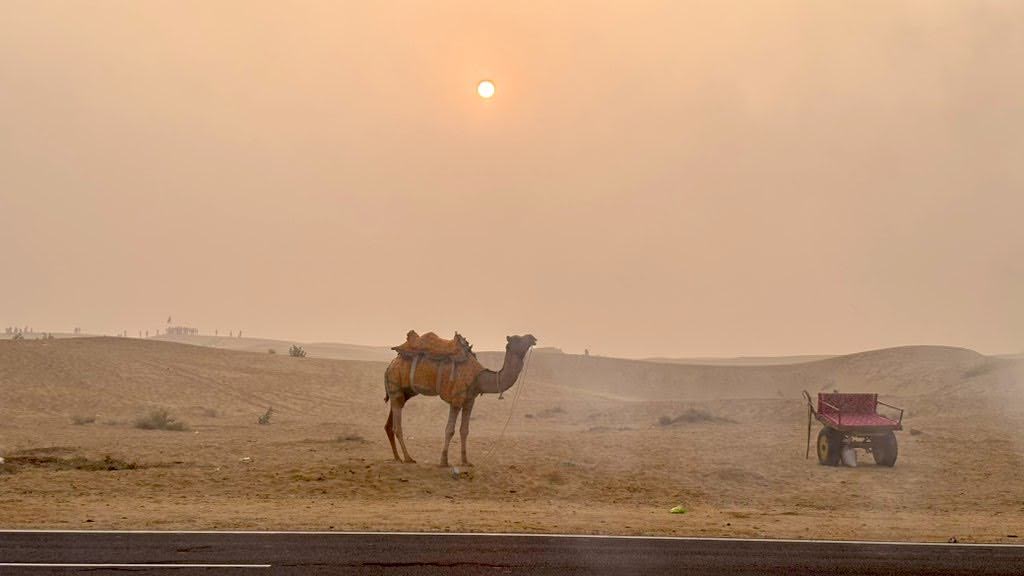 DealsDhamaka's tweet image. December is a wonderful time to visit Rajasthan 🐪

Go through this entire itinerary if you are planning to visit.

Must visit is sand dunes in Jaisalmer, it costs Rs.4000-8000 to stay on the dunes in the tent, ⛺ one hell of an experience 😍

#Travel
