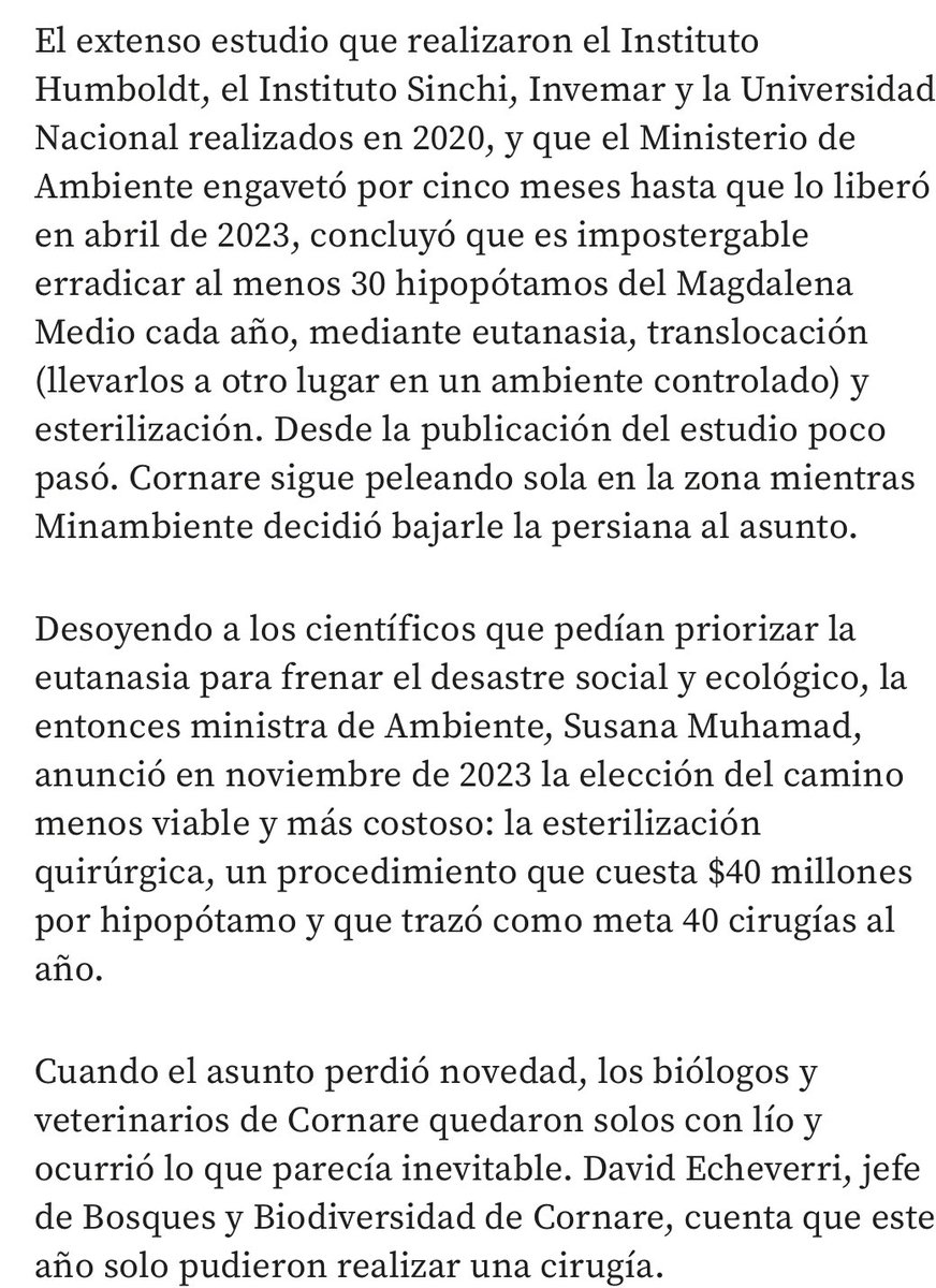 N_CastelblancoM's tweet image. Y esto resume bien en donde estamos. El gobierno bajó la persiana del problema de los #hipopótamosinvasores y dejó solo a Cornare. No nos hablen de “obedecer a la ciencia” cuando las decisiones y la falta de acción parecen basarse en  negligencia o, peor, en cálculos políticos.