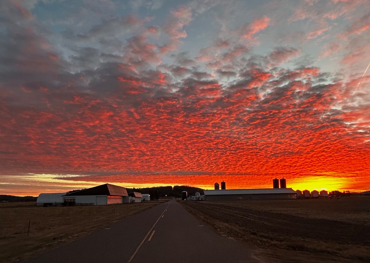 LoschbourStev's tweet image. 