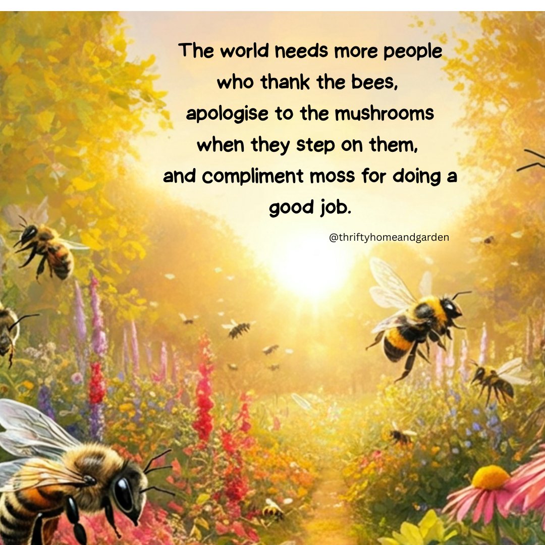 thriftyhomegrdn's tweet image. 🌼✨ Thank the bees 🐝, say sorry to the mushrooms 🍄 when you step on them &amp;amp; cheer on the moss 🌱 for a job well done! Little acts of gratitude make the world magical 💛🌿
#BeeKind #NatureMagic #GratitudeVibes #EcoFriendlyLiving #ThriftyHomeAndGarden #LoveNature #lovebees #bees