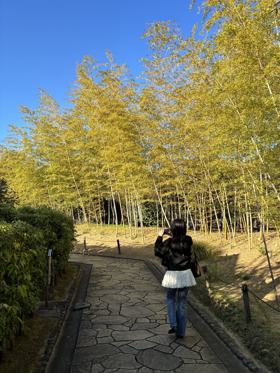 damo__memu's tweet photo. 🍁🍂 https://t.co/GUlQ2gsLSV