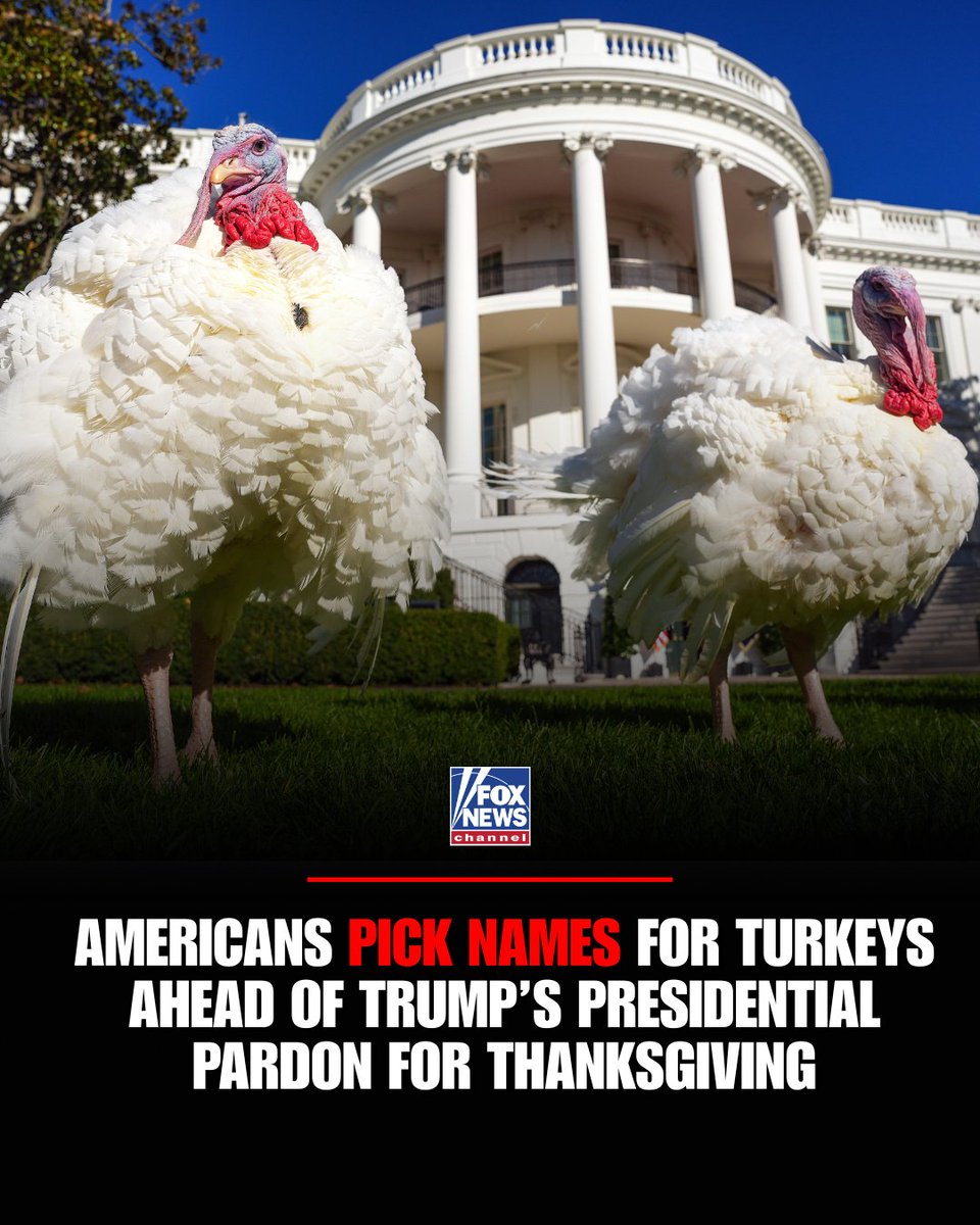 Fox News tweet media