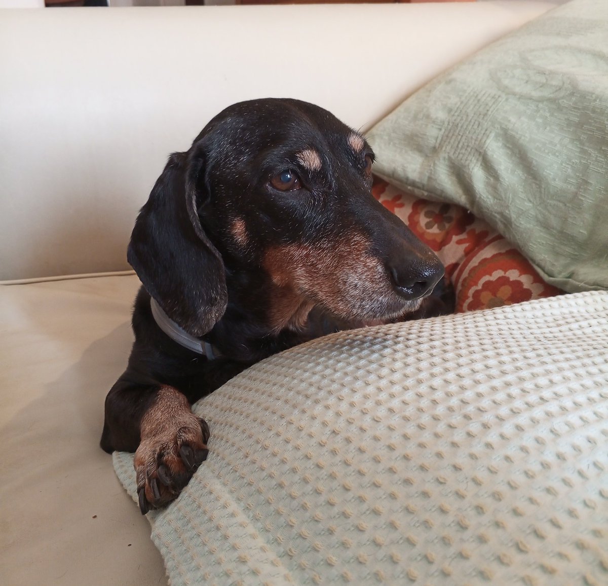 Así se ven casi 14 años de delincuencia.