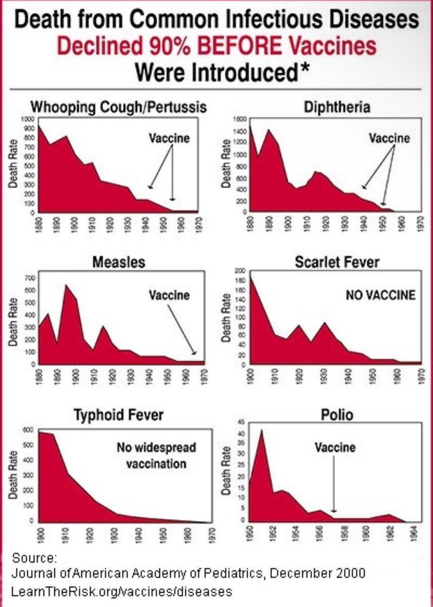 __luzid__'s tweet image. All vaccines are based on fraudulent data.