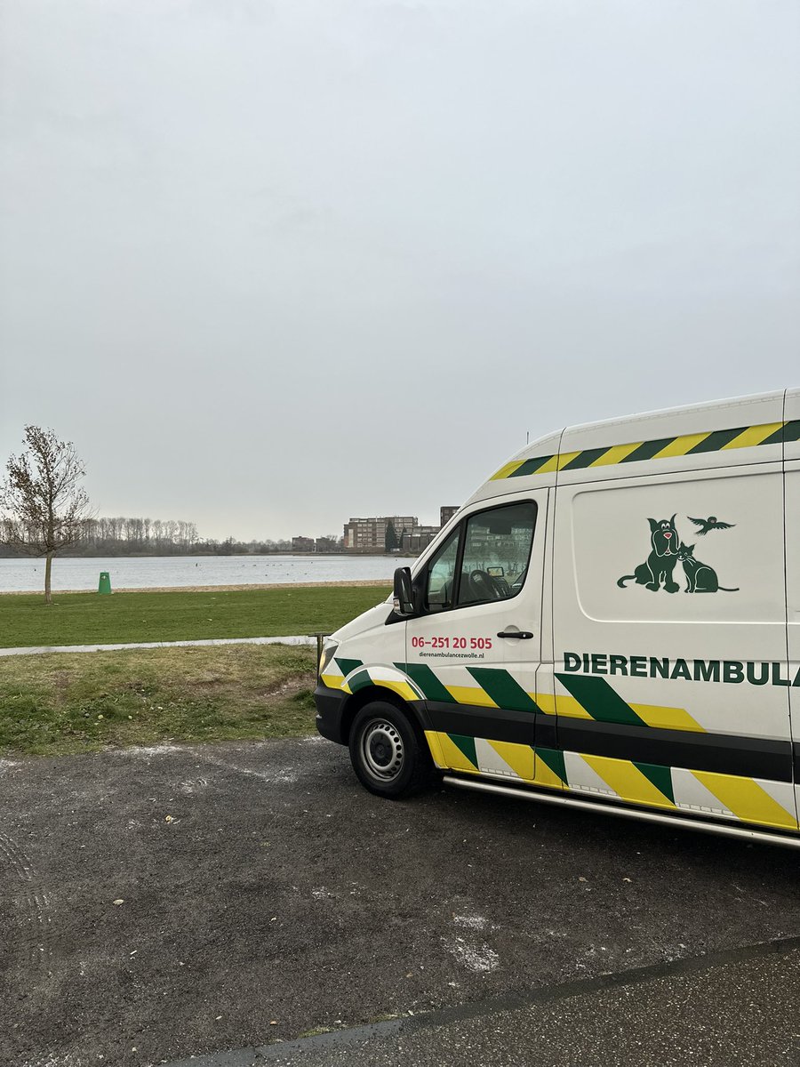 Waarschuwing ⚠️: Onze #vrijwilligers #Dierenambulance zijn weer druk bezig met het ruimen van overleden ganzen aan de Milligerplas #Zwolle #Stadshagen. Vermoedelijk gestorven aan vogelgriep. 

Tref je een overleden vogel aan? Neem dan contact met ons op via 06-251 20 505.