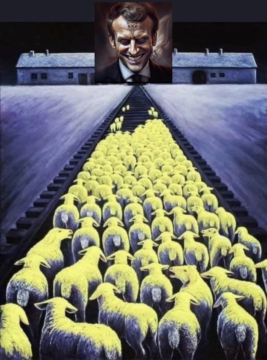 leeloolaeti's tweet image. il y a des bots et vpn mais aussi des expatriés 
Manu a réussi à déclencher la guerre numérique 
Il est obsédé par le contrôle 
Ce bastion le gave alors il crée le conflit ! 
La chasse est ouverte ! #libertedexpression #stopcensured 
@elonmusk @XFrance @IdLibertes @f_philippot…