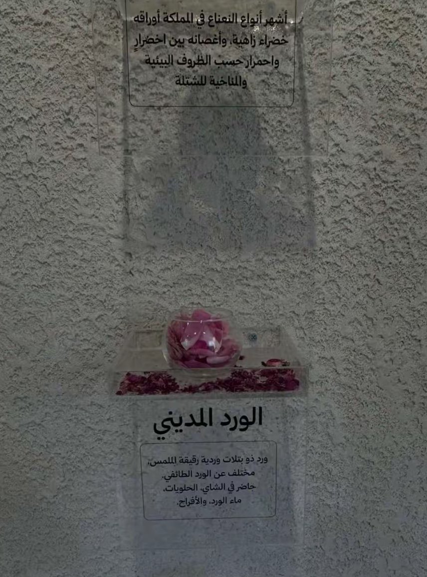 أعود اليك ياداري وقلبي ❤️