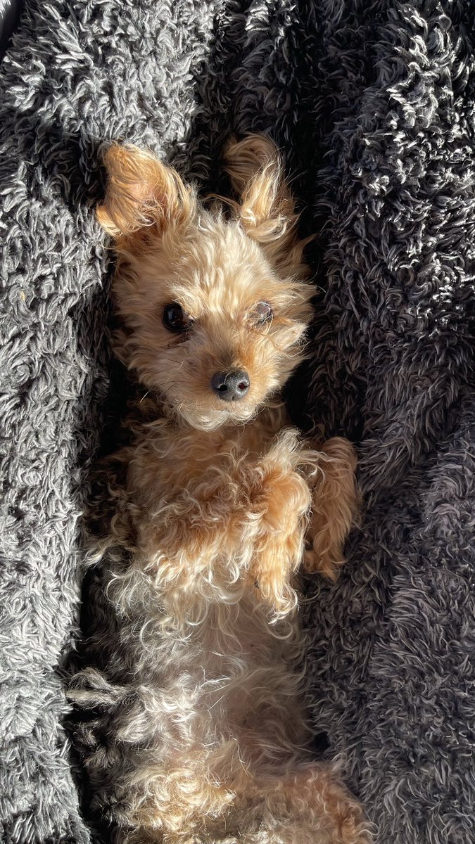 JB Kilpatrick tweet media