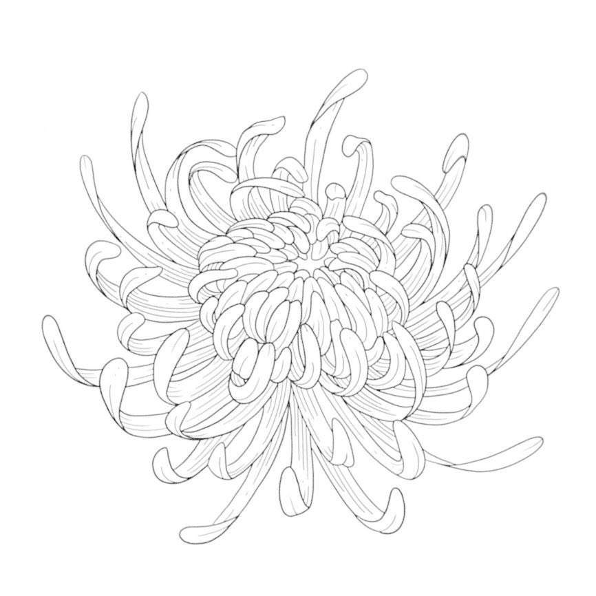 In an ADHD brain, meaningless thoughts never stop.
I wanted to let others experience what it feels like to live as me, so I started writing down the noise in my head.

The content is difficult so I'm gonna translate with chat GPT

The theme is “the answer to what goodness truly
