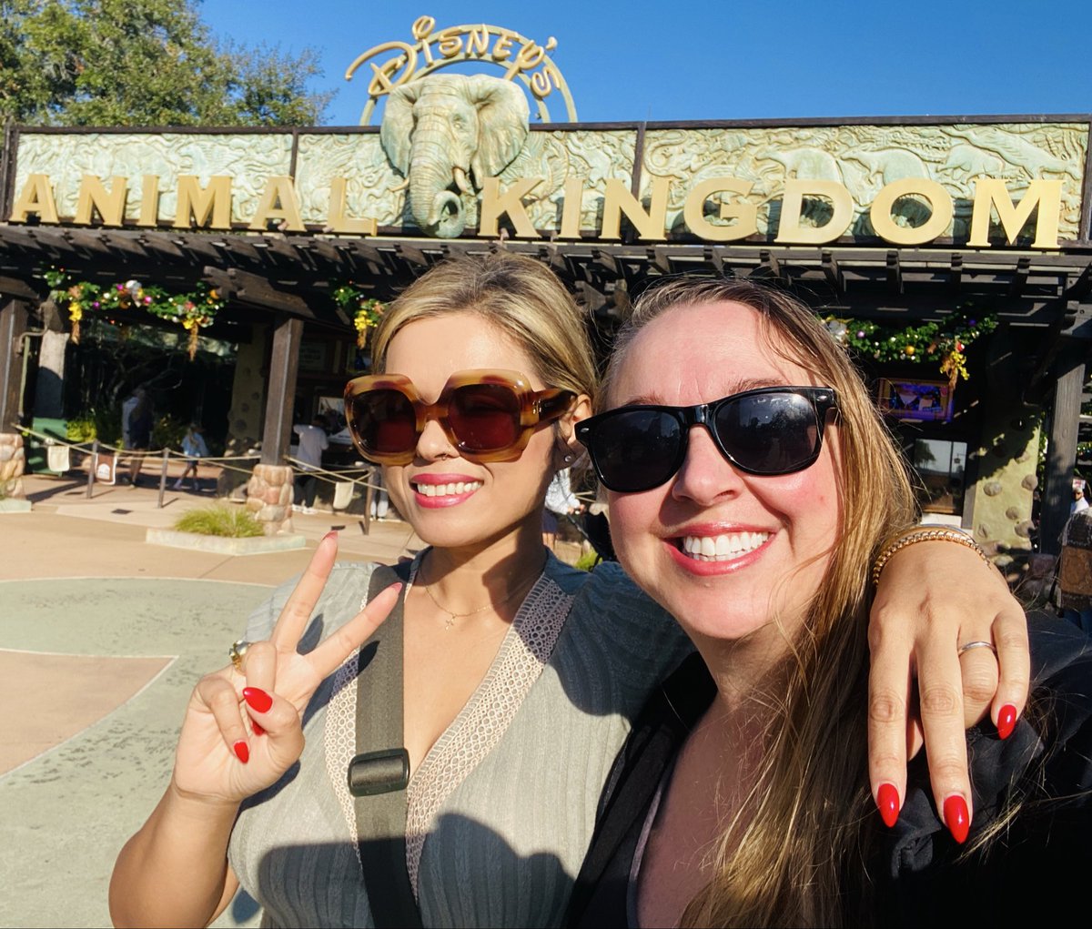 RebeccaRose's tweet image. Gm from Animal Kingdom with @ALIENQUEENNFT 🐘🦍
