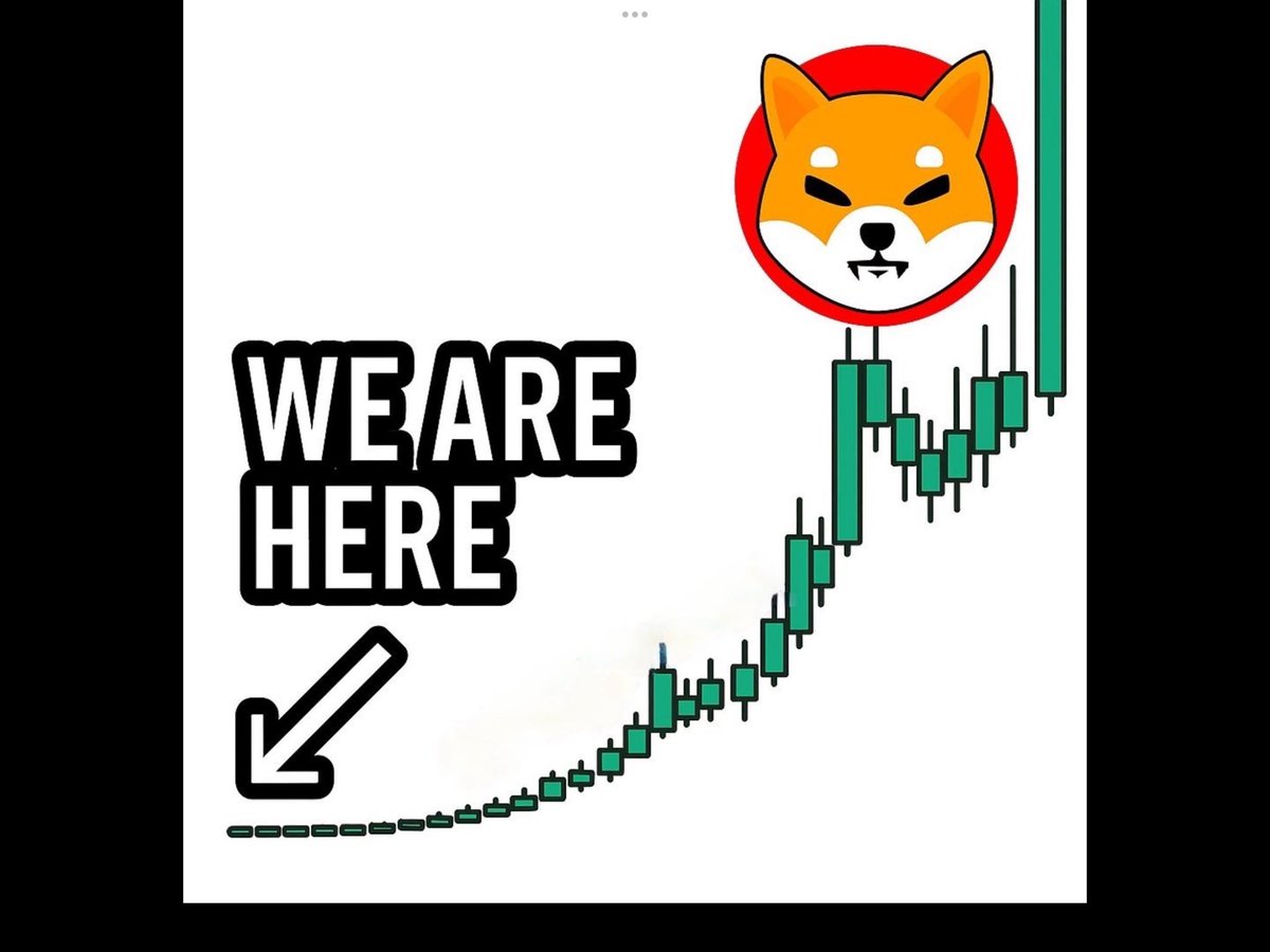 BezosCrypto's tweet image. Good Morning #SHIBARMY‼️

HISTORICALLY, EVERY TIME $SHIB
ACCUMULATES AT $0.000008~$0.00001 LEVEL
#ShibaInu EXPLODED &amp;amp; RECOVERED QUICKLY

BE SMART
IN CRYPTO TO MAKE MONEY
BUY MORE WHILE PRICES ARE LOW
DCA~ DOLLAR COST AVERAGE
ACCUMULATE
MAINTAIN POSITIVE ATTITUDE WHILE WAITING
NFA