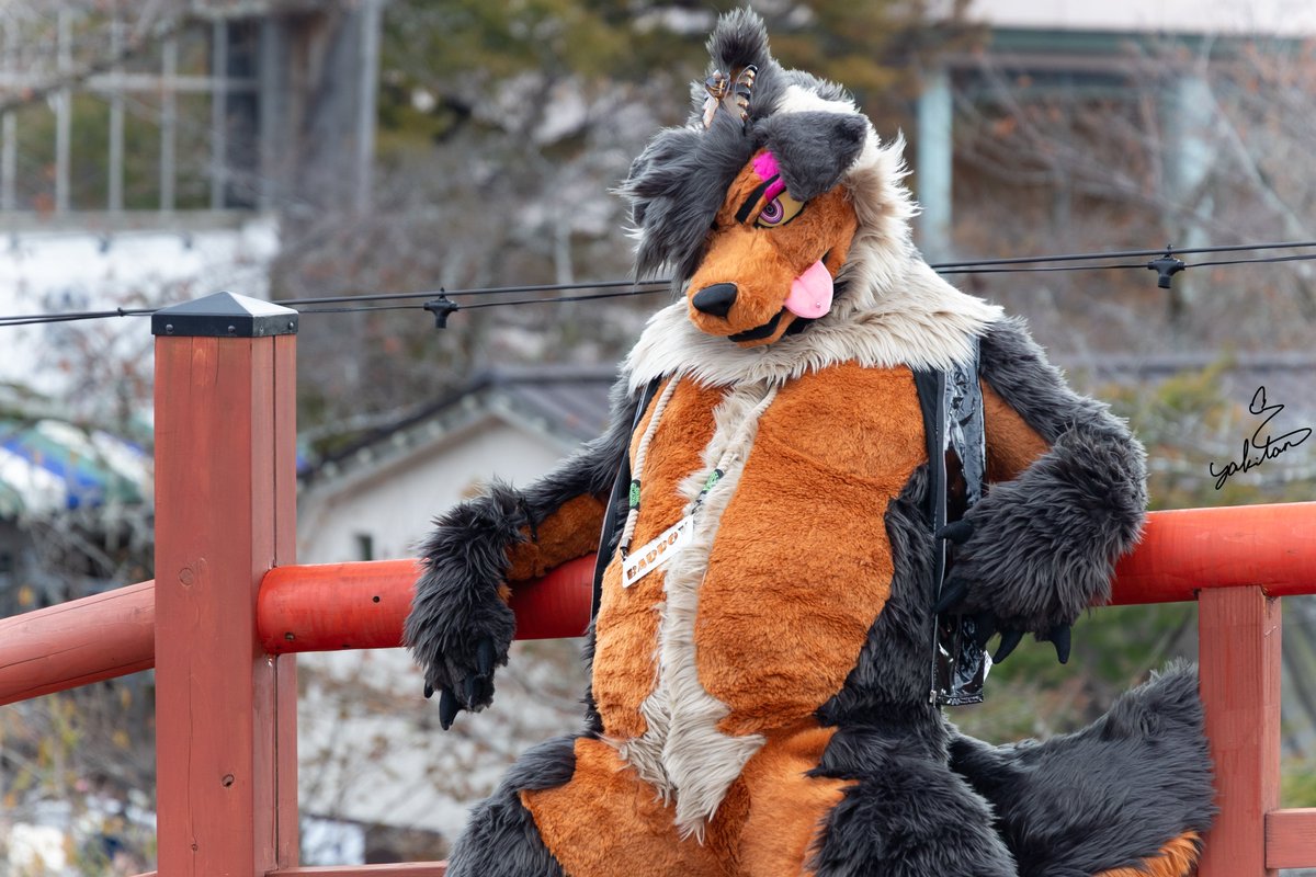 こらぼ＠Andrew/アンドリュー🔜ケモエレ tweet media