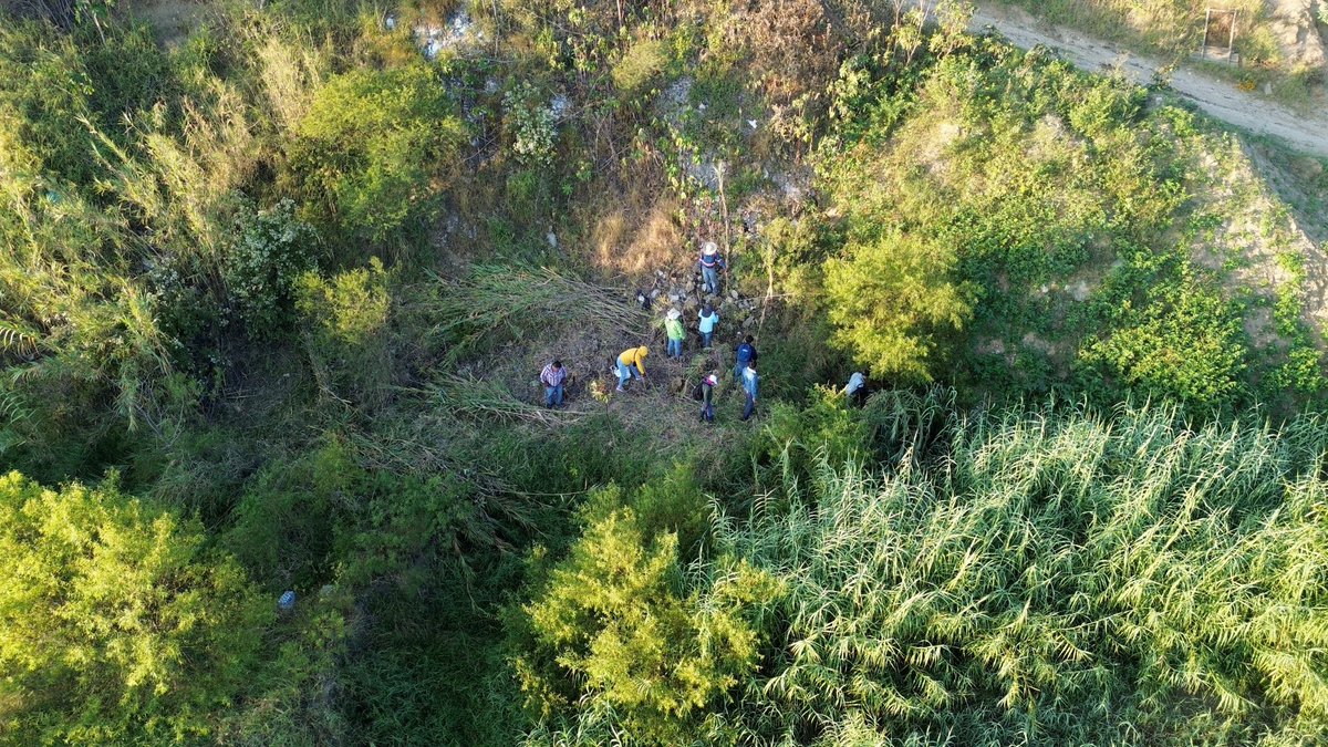 salomonj's tweet photo. INICIAMOS EL MEGA TEQUIO DE LIMPIEZA EN EL RÍO ATOYAC EN SAN LORENZO CACAOTEPEC
Esta mañana, encabezamos el arranque del #MegaTequio de Limpieza en el río Atoyac junto a la secretaria de Bienestar, @Vilma_MartinezC, con la participación de más de 1,700 personas, para la recuperación de nuestro patrimonio natural y la construcción de un Oaxaca más sustentable. En esta jornada, vamos a realizar acciones como:
✅ Apertura de senderos con retroexcavadora
✅ Deshierbe y retiro de carrizo
✅ Separación de residuos sólidos
✅ Intervención y atención de canchas para garantizar espacios para la convivencia y deporte
Junto a la subsecretaría de Tequio, Fernanda Schmidt Ruiz , y la presidenta municipal, Iris López Zavaleta, reafirmamos que en la #PrimaveraOaxaqueña, la transformación se construye en comunidad.