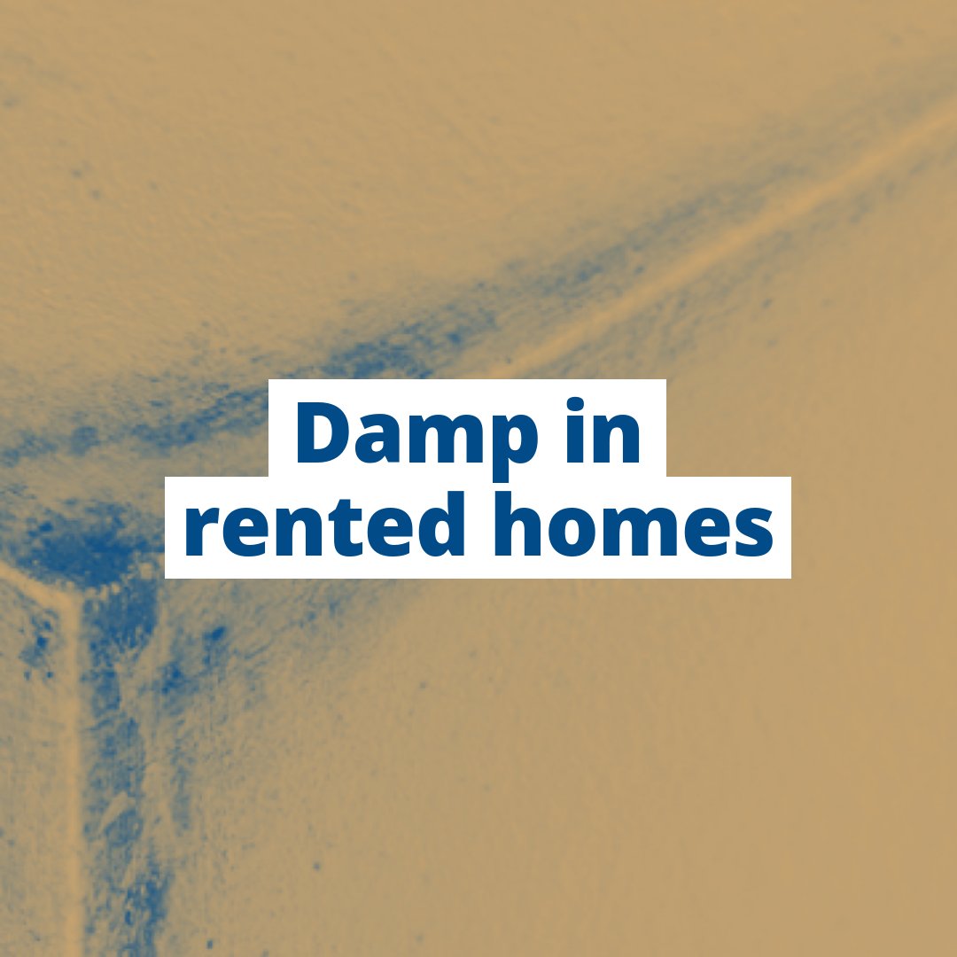 CharnwoodCAB's tweet image. Are you facing problems with damp in your home?

It’s your landlord’s responsibility to find out what’s causing the damp.

Here’s what you need to know ⤵️
bit.ly/3X2JzWN