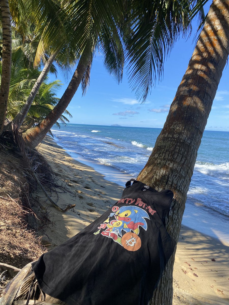 Tickets 🎟️ $Bitcoin found 

#HarryPotterObamaSonic10lnu