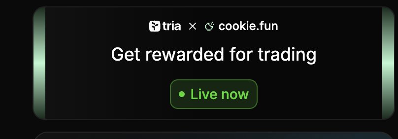 mamunmrmr's tweet photo. Kaito’s issues keep stacking and nobody fixes them but @cookiedotfun at least shows progress and genuine activity from real creators daily.

With platforms like @useTria supporting active users and committed community members, it’s clear what real innovation should look like. https://t.co/76If0BPUcs