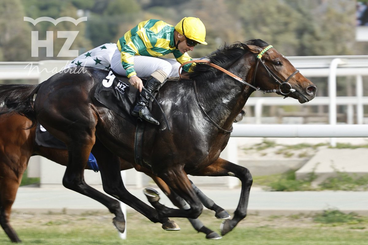 EFEdeportes's tweet photo. 🏇 Skytree se cobra la revancha y se impone a Tacarib Bay en el Gran Premio Antonio Blasco

@HipodromoMadrid https://t.co/8S6tWzlD6C