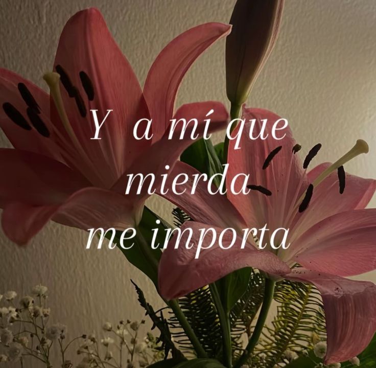 los cardinales andan en esta