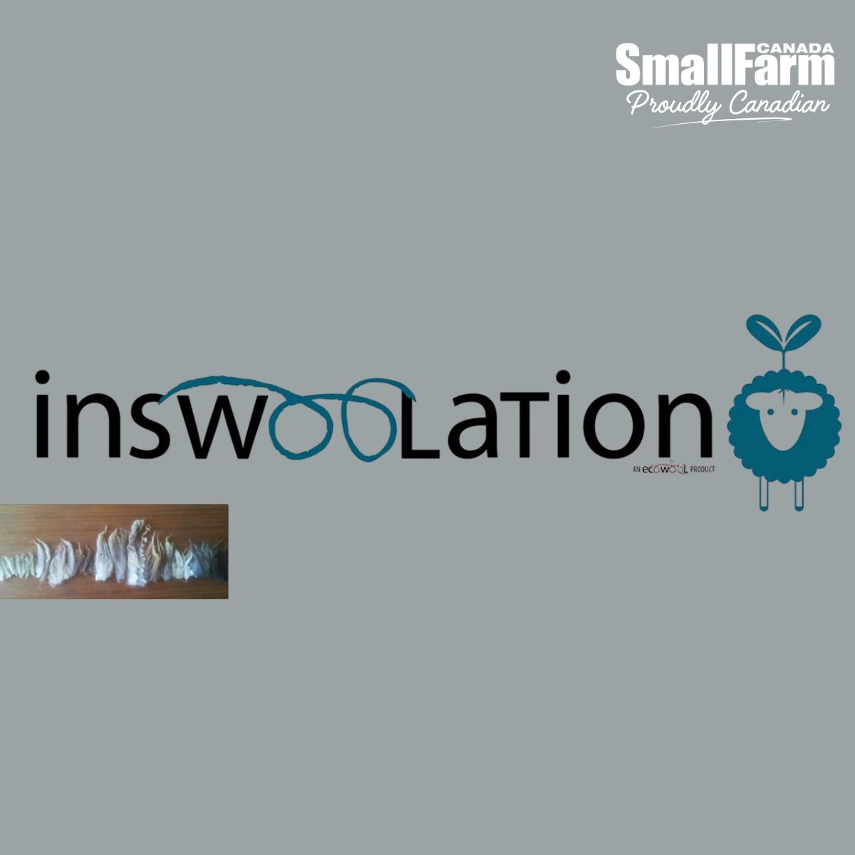 InsWoolation Wins $10K Canadian Wool Innovation Prize for Sustainable Food Packaging.

Ecowool's breakthrough solution turns overlooked Canadian wool into a game-changing alternative for perishable food transport. 

See this achievement ⤵️ 

smallfarmcanada.ca/news/inswoolat… 

#SmallFarm