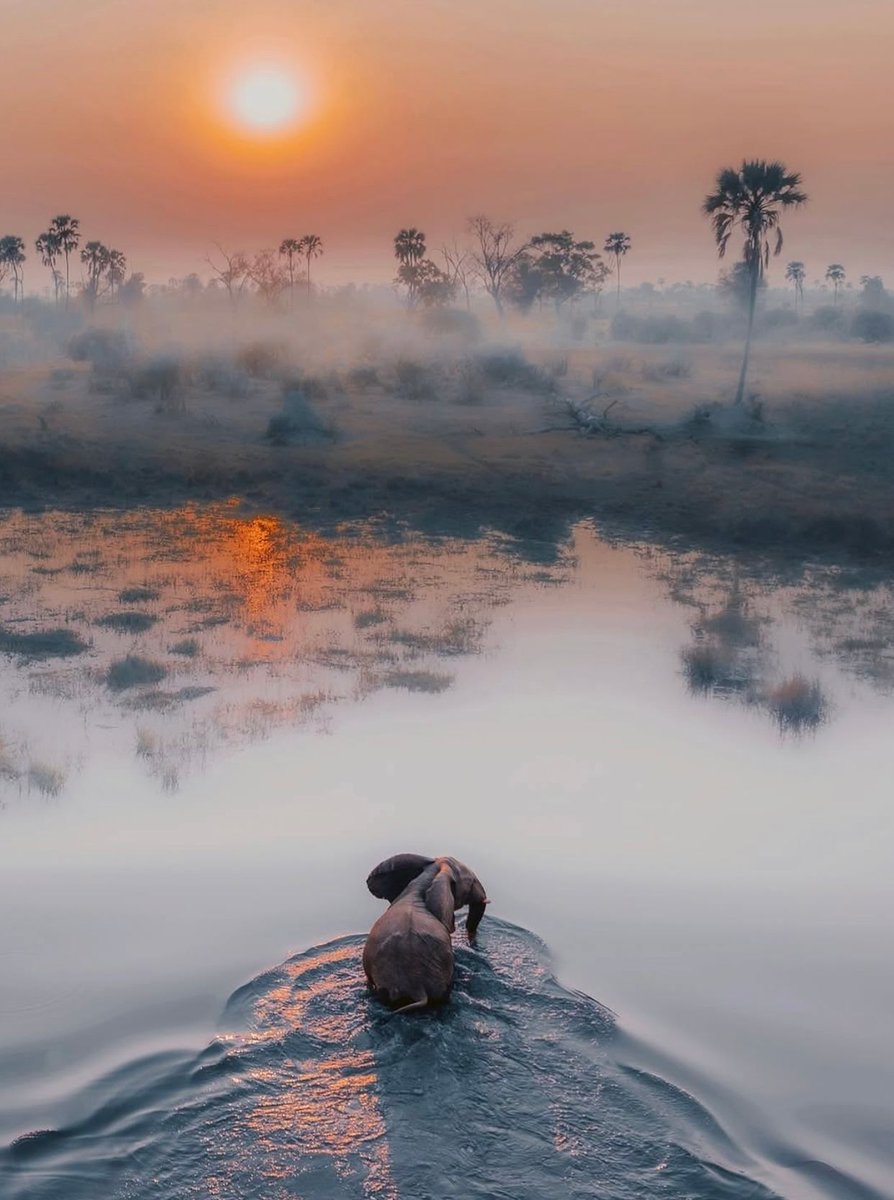 ramblingsloa's tweet image. It&apos;s your road and yours alone. 
Others may walk it with you
But no one can walk it for you

Rumi