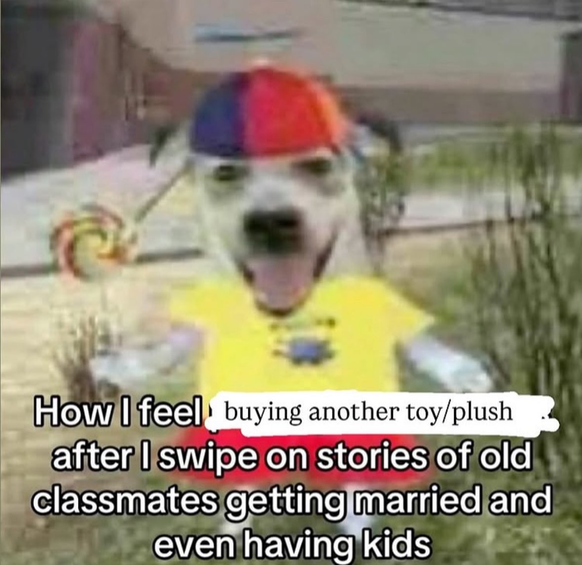 ✧ (@northstardoll) on Twitter photo 