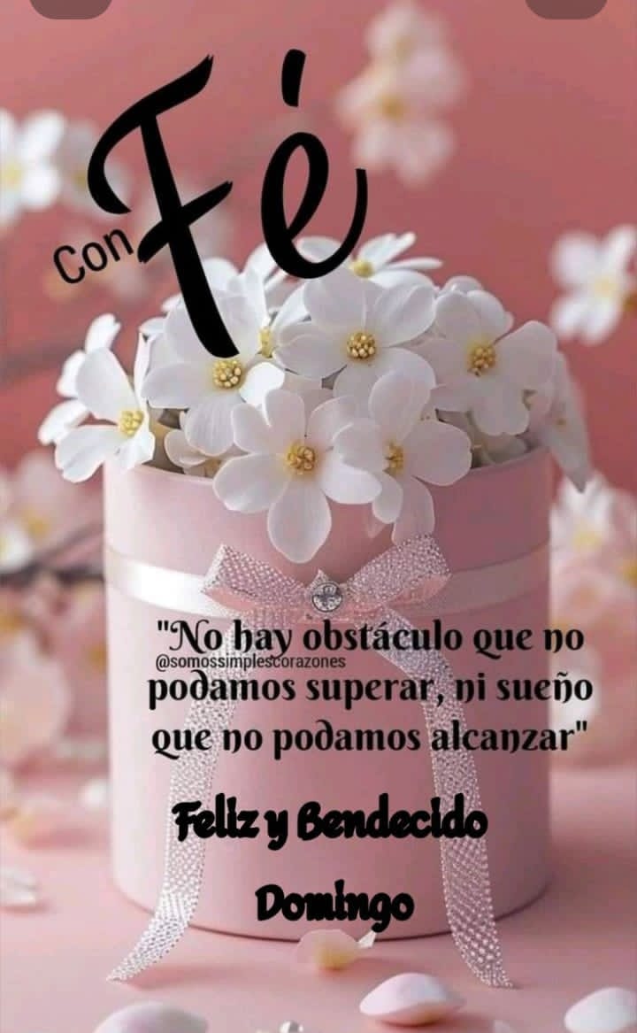 Feliz domingo de paz, relax y buena vibra 😍