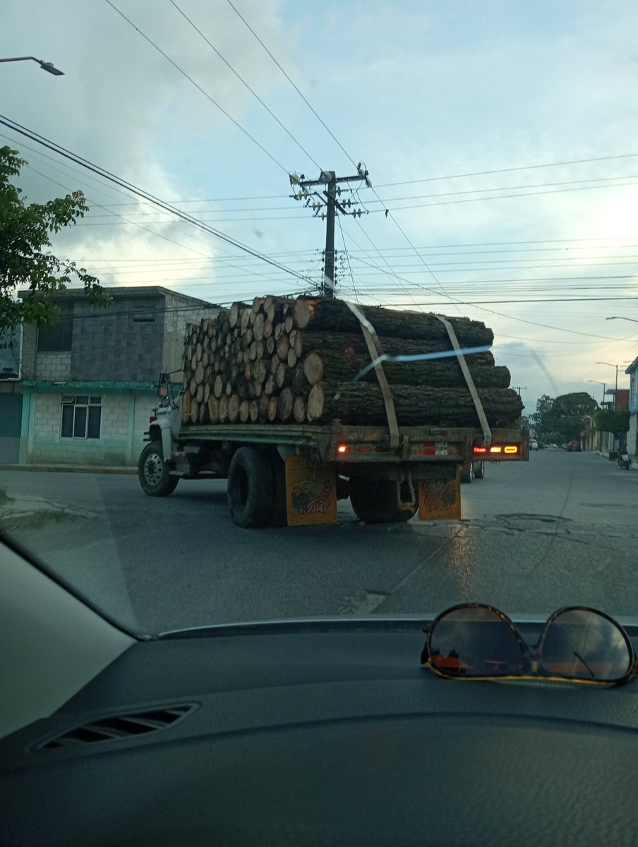 robertotwitpue's tweet photo. @Melissa_Bely Yo invito a ver esto a los mandriles amaestrados por morena... Esto pasa diario repito diario  en la autopista orizaba a mexico .. destruyen nuestros pulmones naturales y nadie hace nada.. https://t.co/fFDgPZR2kZ