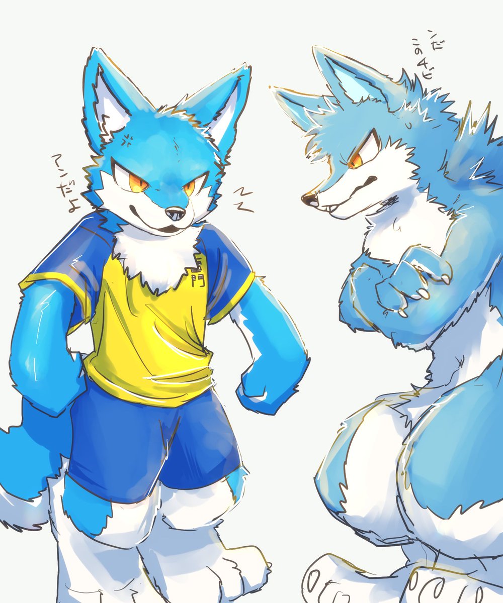 kemono_mofumofu's tweet image. こんにちはおおかみ